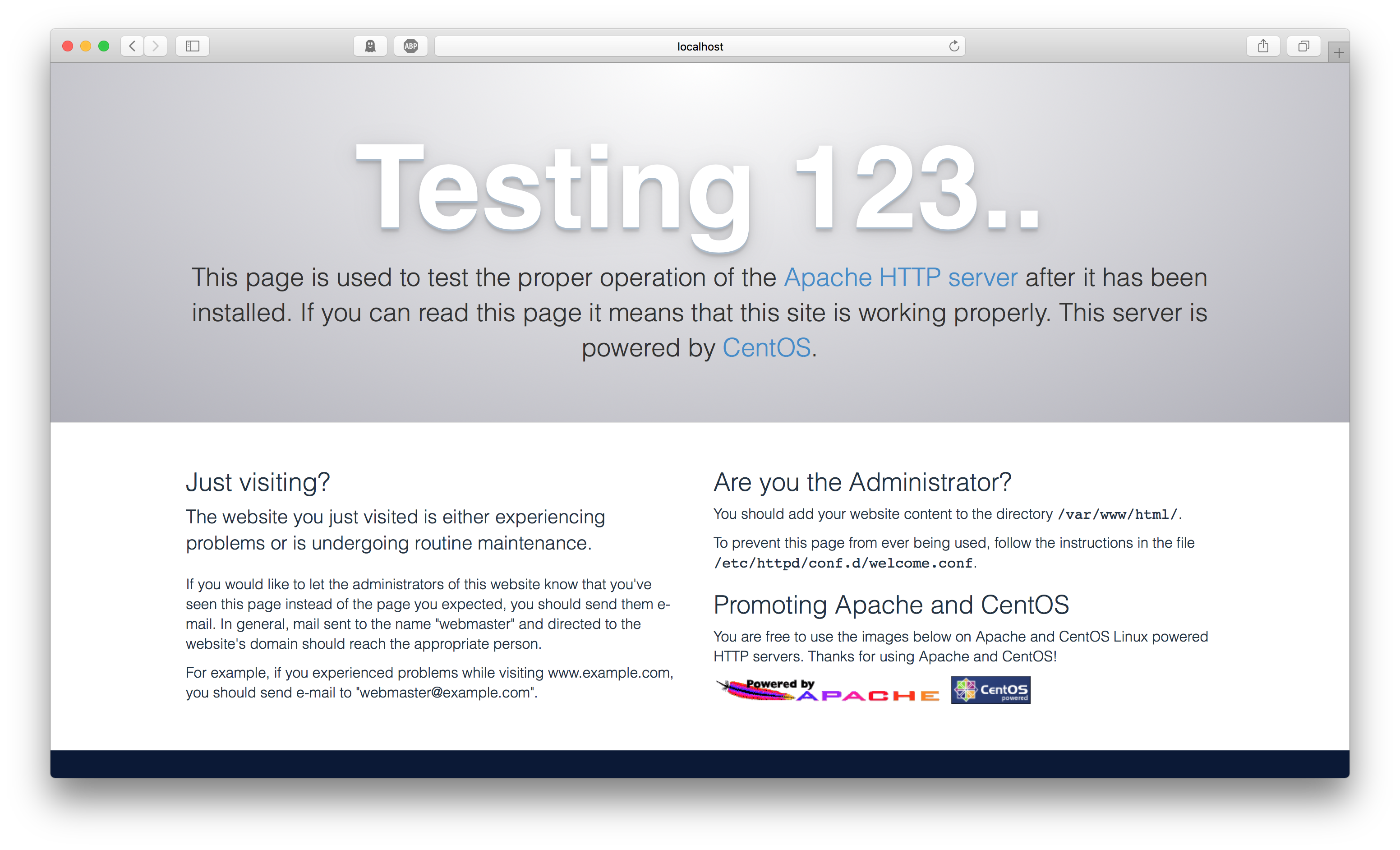 Testing the webserver