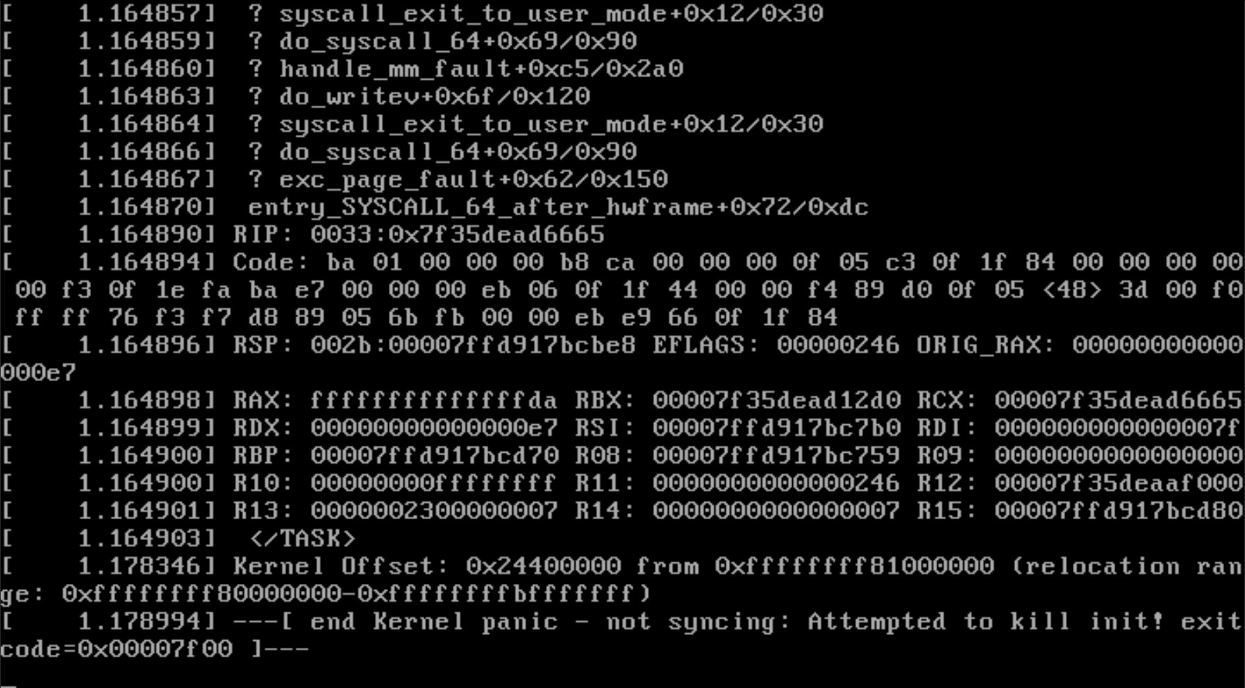 Kernel Panic during boot