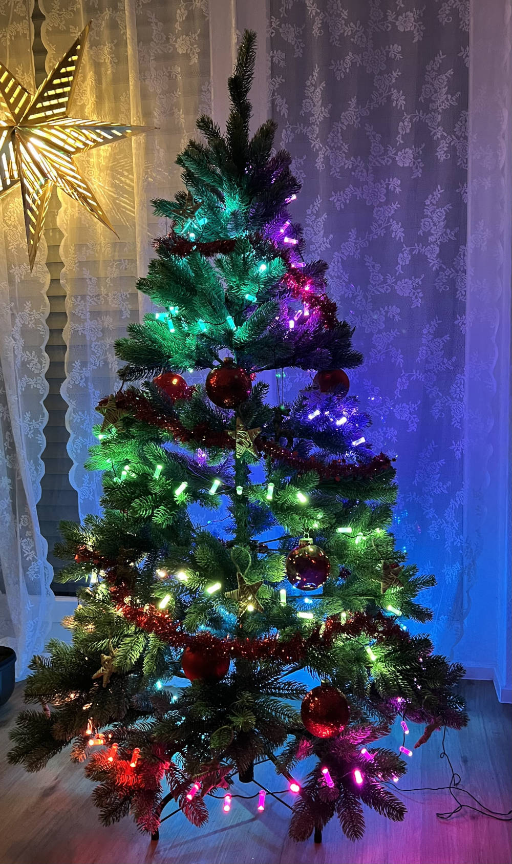 Twinkly string lights on a tree